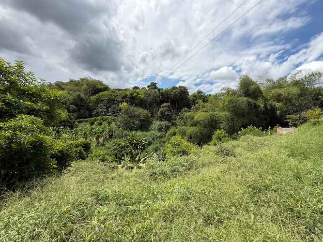 Lote en venta en San Jose Sur, Pereira · foto 5 de 11