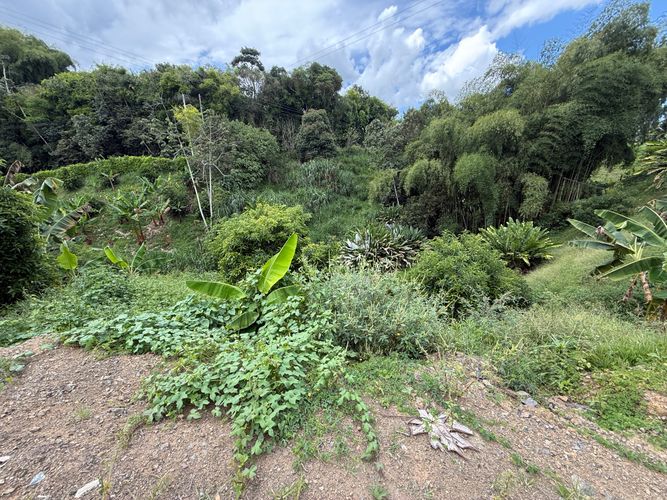 Lote en venta en San Jose Sur, Pereira · foto 8 de 11