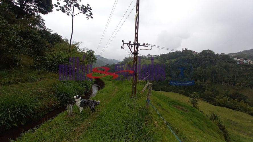 Lote en venta en Alto Tablazo, Manizales · foto 3 de 24