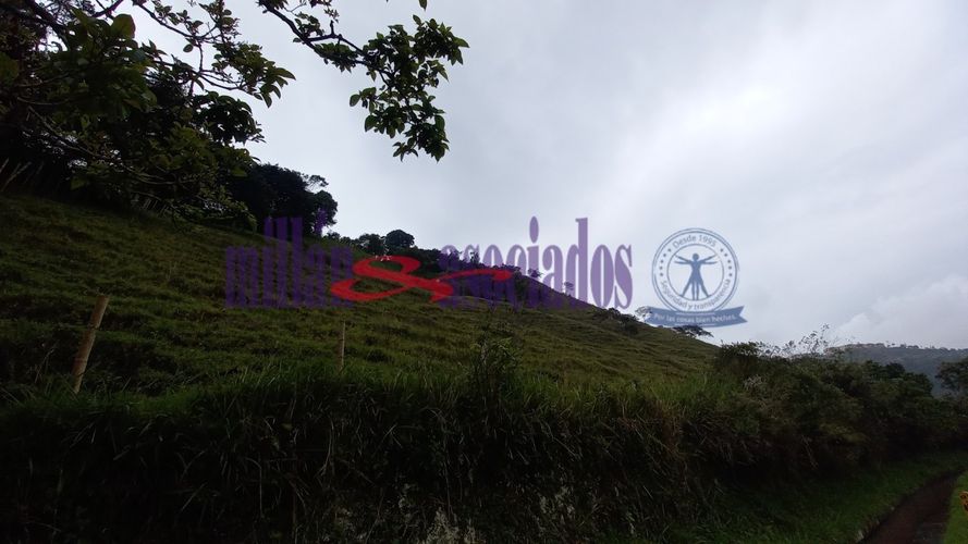 Lote en venta en Alto Tablazo, Manizales · foto 11 de 24