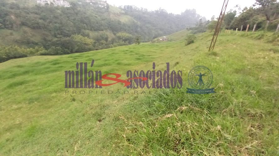 Lote en venta en Alto Tablazo, Manizales · foto 12 de 24