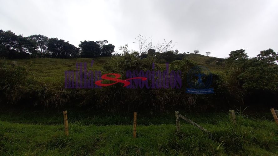 Lote en venta en Alto Tablazo, Manizales · foto 18 de 24