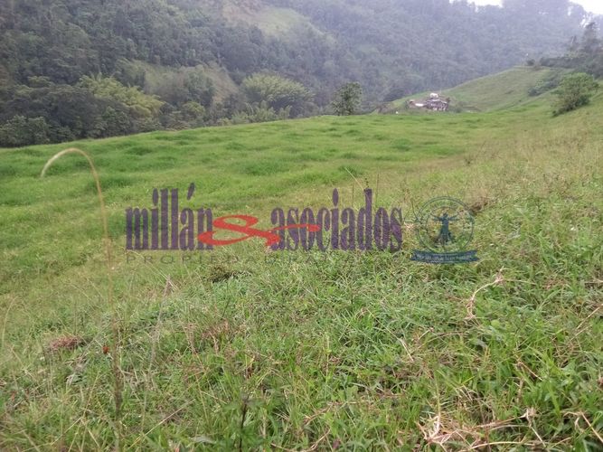 Lote en venta en Alto Tablazo, Manizales · foto 20 de 24