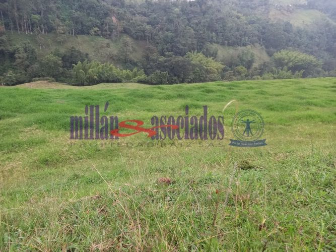 Lote en venta en Alto Tablazo, Manizales · foto 21 de 24