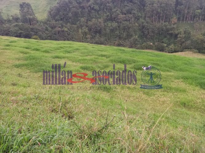 Lote en venta en Alto Tablazo, Manizales · foto 22 de 24