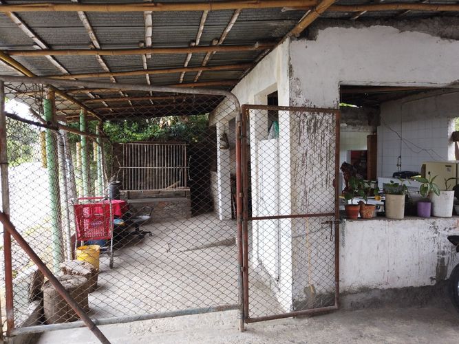Lote en venta en La Francia, Manizales, 4000 m² · foto 14 de 15