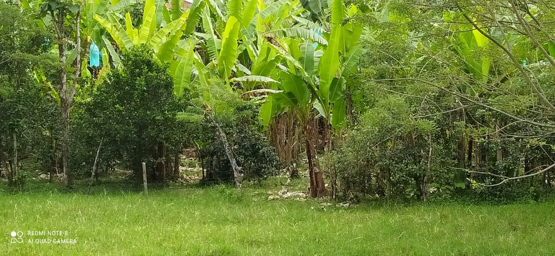 Lote en venta en Altagracia, Pereira · foto 2 de 14