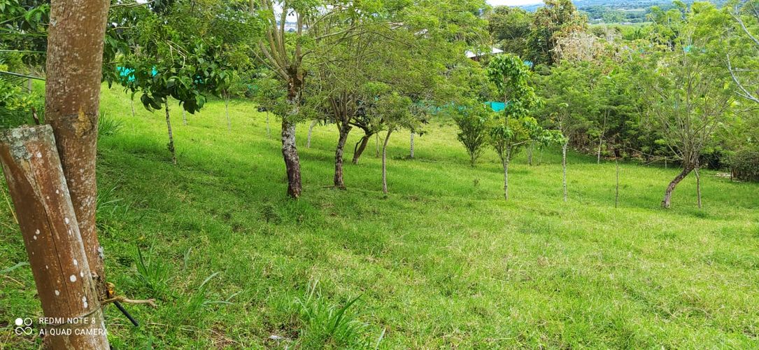 Lote en venta en Altagracia, Pereira · foto 3 de 14
