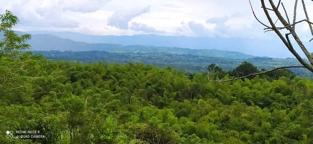 Lote en venta en Altagracia, Pereira · foto 5 de 14