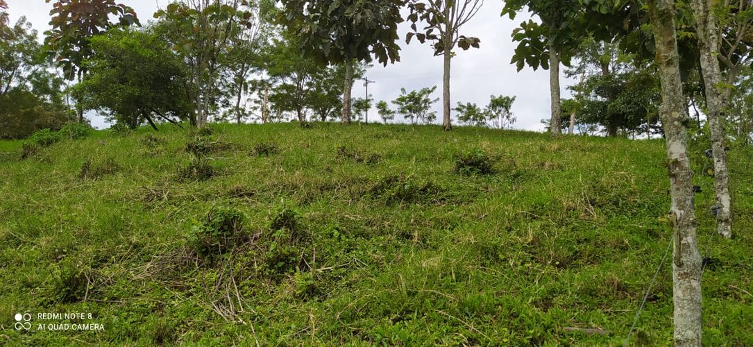 Lote en venta en Altagracia, Pereira · foto 6 de 14