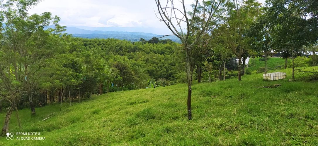 Lote en venta en Altagracia, Pereira · foto 7 de 14