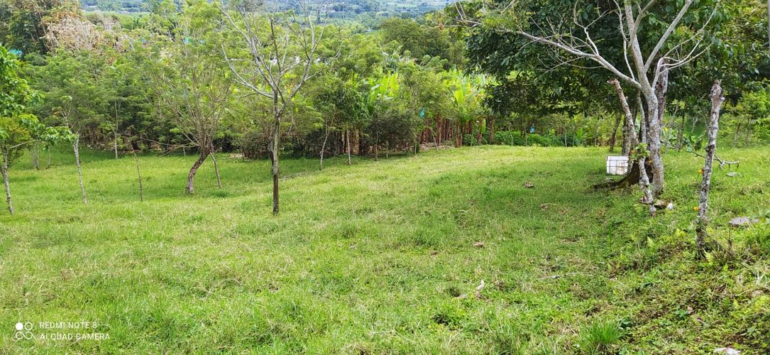 Lote en venta en Altagracia, Pereira · foto 8 de 14