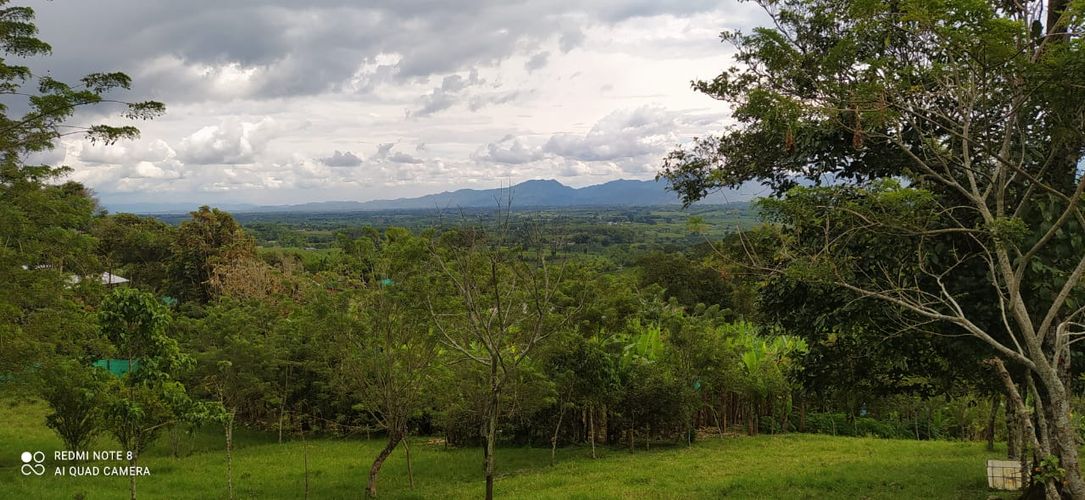 Lote en venta en Altagracia, Pereira · foto 9 de 14
