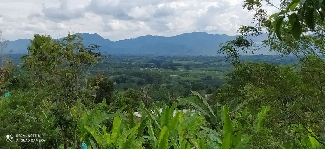 Lote en venta en Altagracia, Pereira · foto 10 de 14