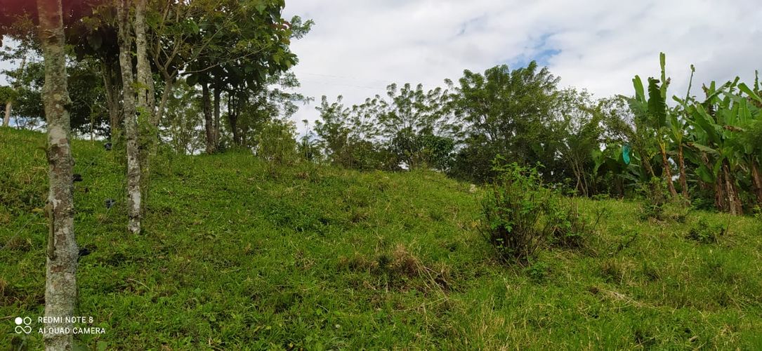Lote en venta en Altagracia, Pereira · foto 11 de 14