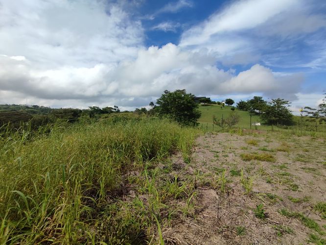 Lote en venta en Cerritos, Pereira · foto 2 de 12