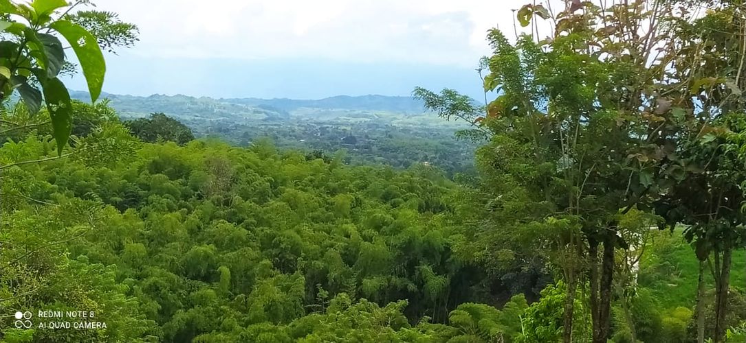 Lote en venta en Altagracia, Pereira · foto 12 de 14