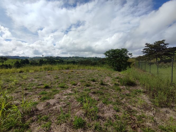 Lote en venta en Cerritos, Pereira · foto 3 de 12