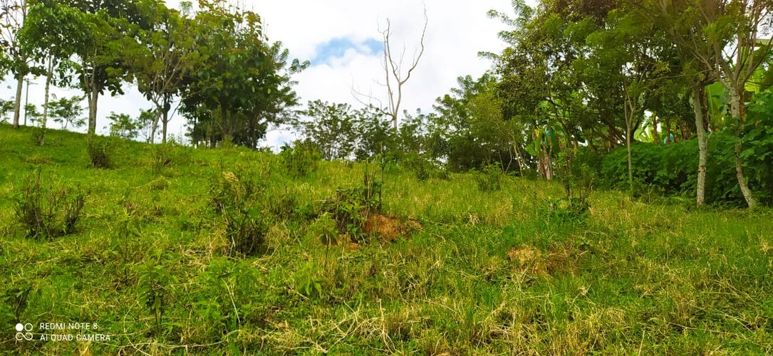 Lote en venta en Altagracia, Pereira · foto 13 de 14