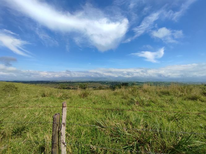 Lote en venta en Cerritos, Pereira · foto 4 de 12