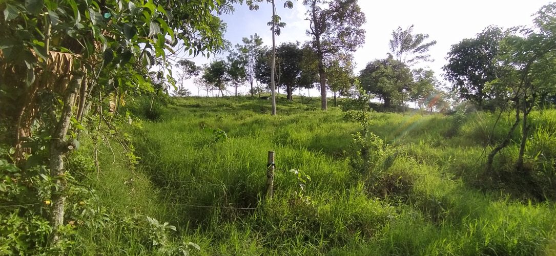 Lote en venta en Altagracia, Pereira · foto 14 de 14