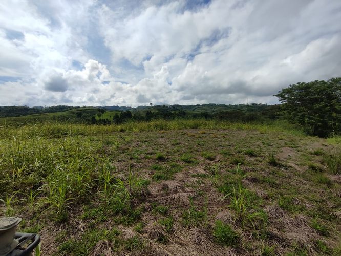Lote en venta en Cerritos, Pereira · foto 6 de 12