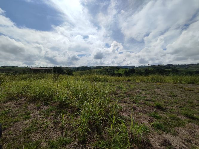 Lote en venta en Cerritos, Pereira · foto 7 de 12