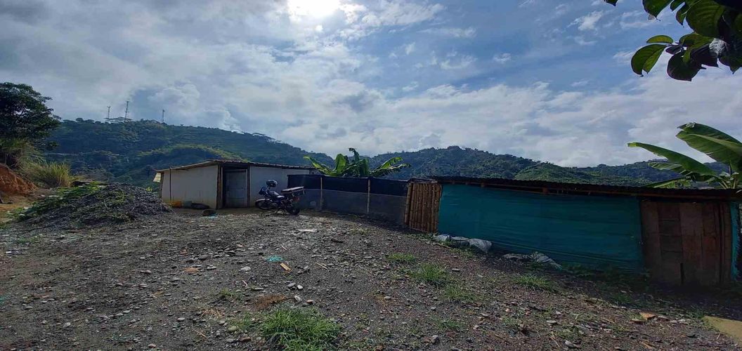 Finca en venta en San Peregrino, Manizales, 35500 m² · foto 2 de 24