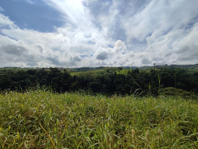 Lote en venta en Cerritos, Pereira · foto 9 de 12