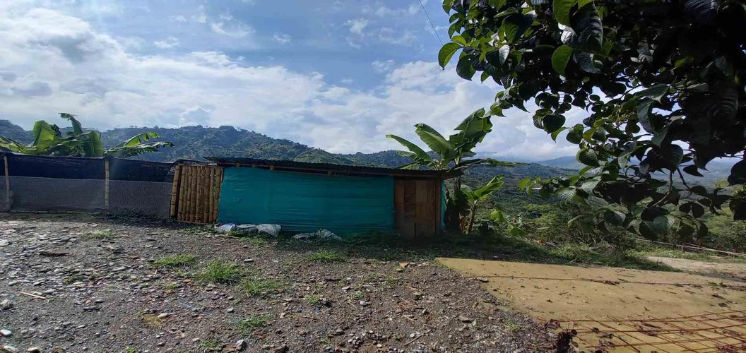 Finca en venta en San Peregrino, Manizales, 35500 m² · foto 3 de 24
