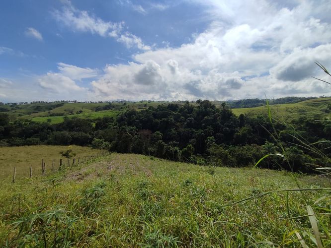 Lote en venta en Cerritos, Pereira · foto 11 de 12