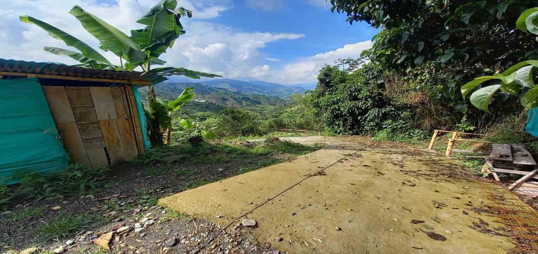 Finca en venta en San Peregrino, Manizales, 35500 m² · foto 4 de 24