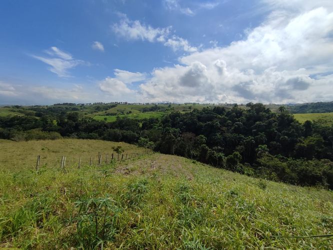 Lote en venta en Cerritos, Pereira · foto 12 de 12