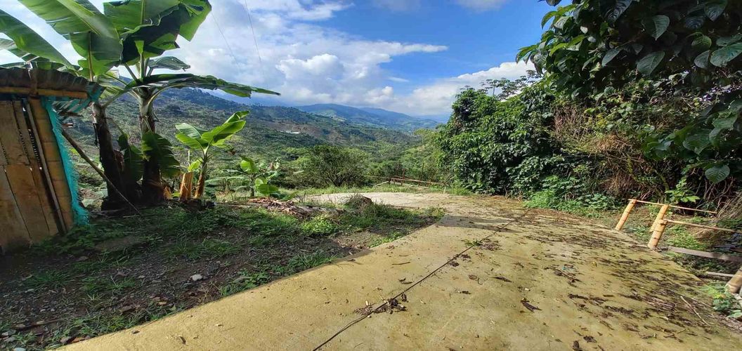 Finca en venta en San Peregrino, Manizales, 35500 m² · foto 5 de 24