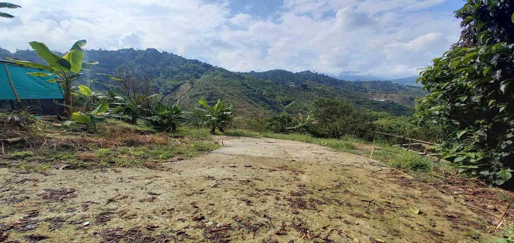 Finca en venta en San Peregrino, Manizales, 35500 m² · foto 6 de 24