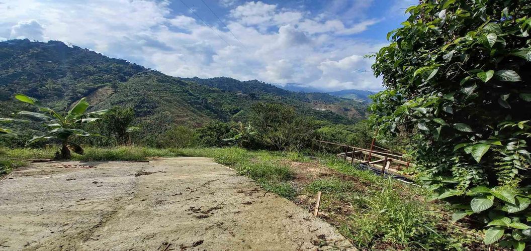 Finca en venta en San Peregrino, Manizales, 35500 m² · foto 7 de 24