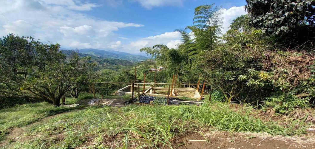 Finca en venta en San Peregrino, Manizales, 35500 m² · foto 8 de 24
