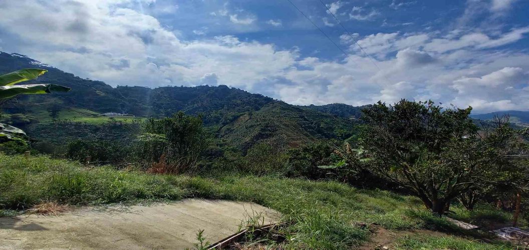 Finca en venta en San Peregrino, Manizales, 35500 m² · foto 10 de 24