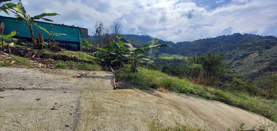 Finca en venta en San Peregrino, Manizales, 35500 m² · foto 11 de 24