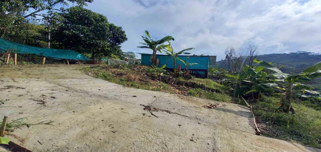 Finca en venta en San Peregrino, Manizales, 35500 m² · foto 12 de 24