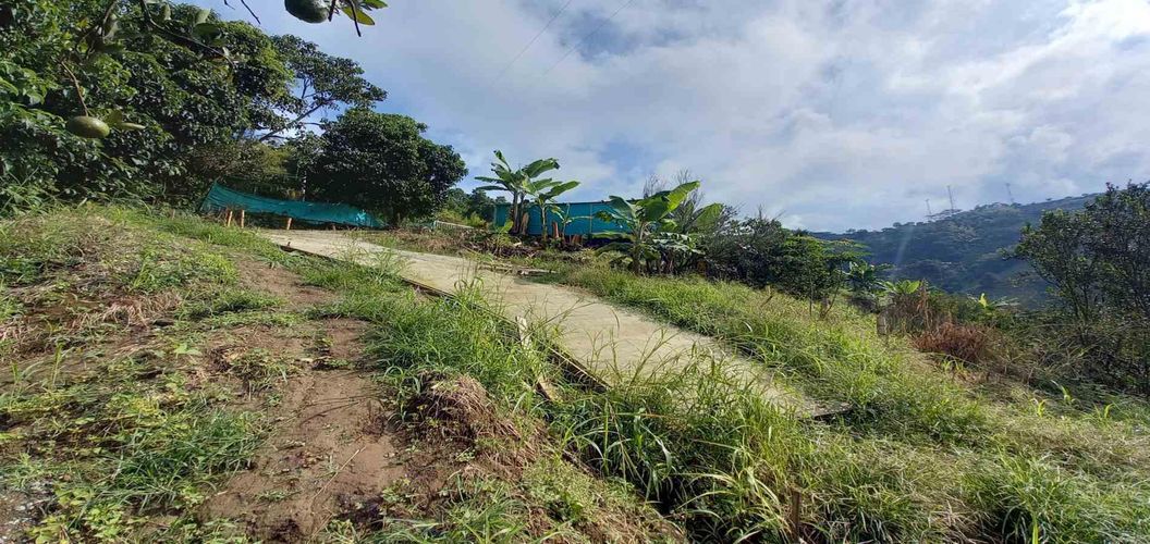 Finca en venta en San Peregrino, Manizales, 35500 m² · foto 13 de 24