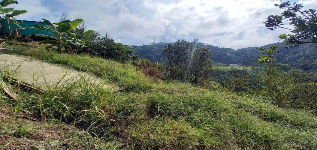 Finca en venta en San Peregrino, Manizales, 35500 m² · foto 14 de 24