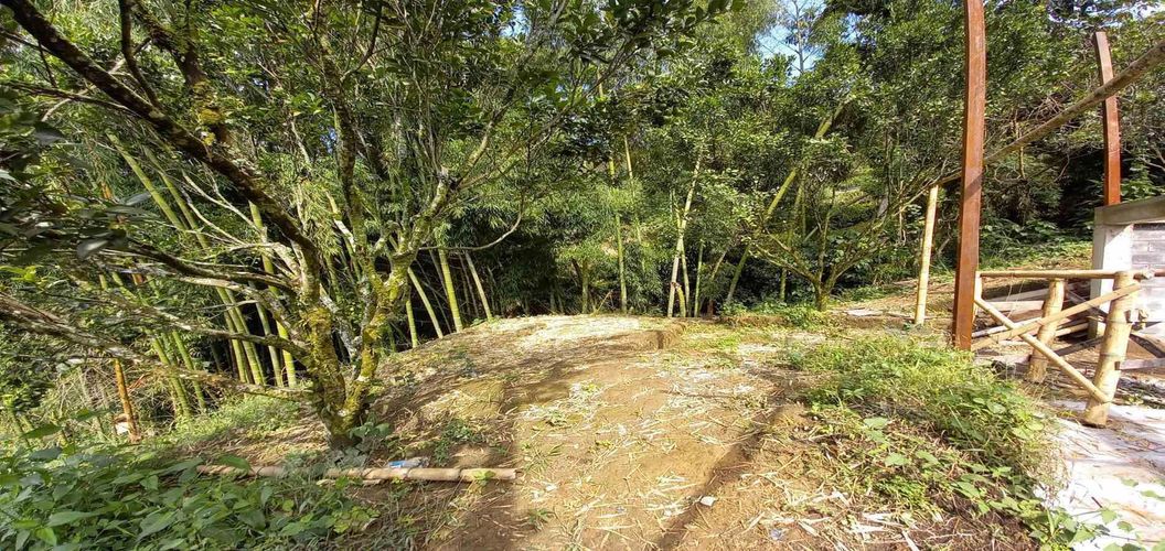 Finca en venta en San Peregrino, Manizales, 35500 m² · foto 19 de 24