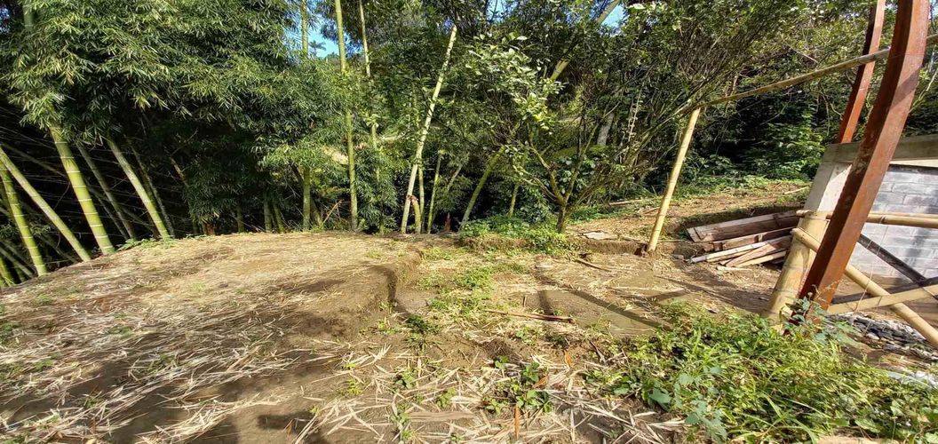 Finca en venta en San Peregrino, Manizales, 35500 m² · foto 20 de 24
