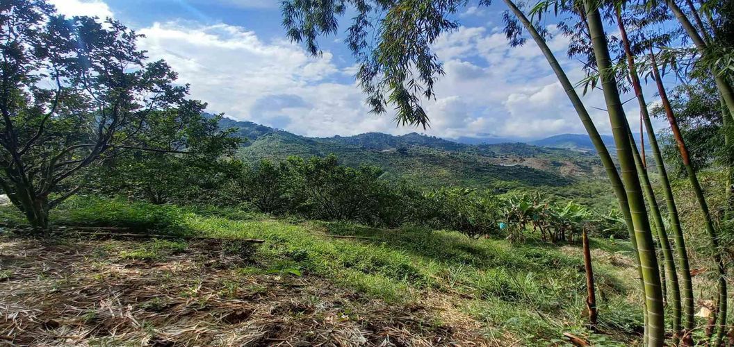 Finca en venta en San Peregrino, Manizales, 35500 m² · foto 22 de 24