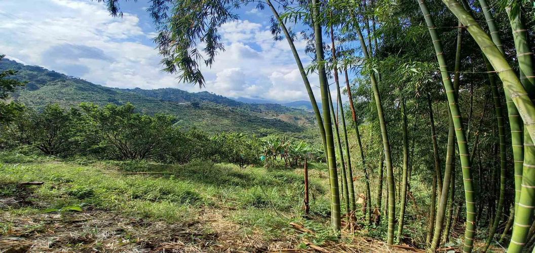 Finca en venta en San Peregrino, Manizales, 35500 m² · foto 23 de 24