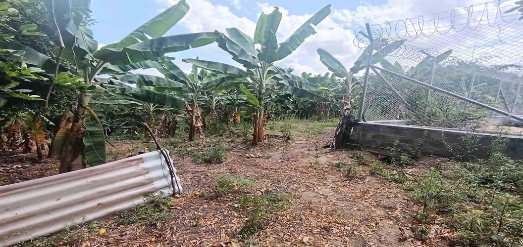 Lote en venta en Puerto Espejo, Armenia, 6588 m² · foto 13 de 23