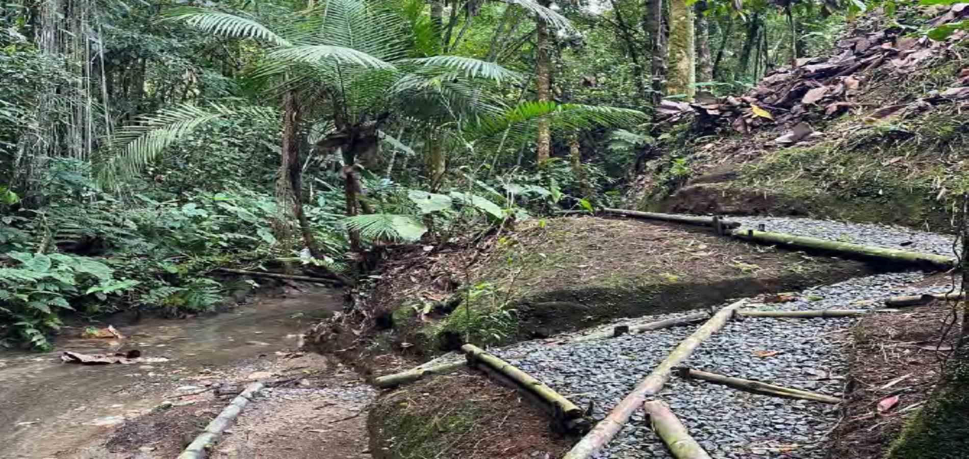 Casa en venta en Tribunas Corcega, Pereira · foto 5 de 24