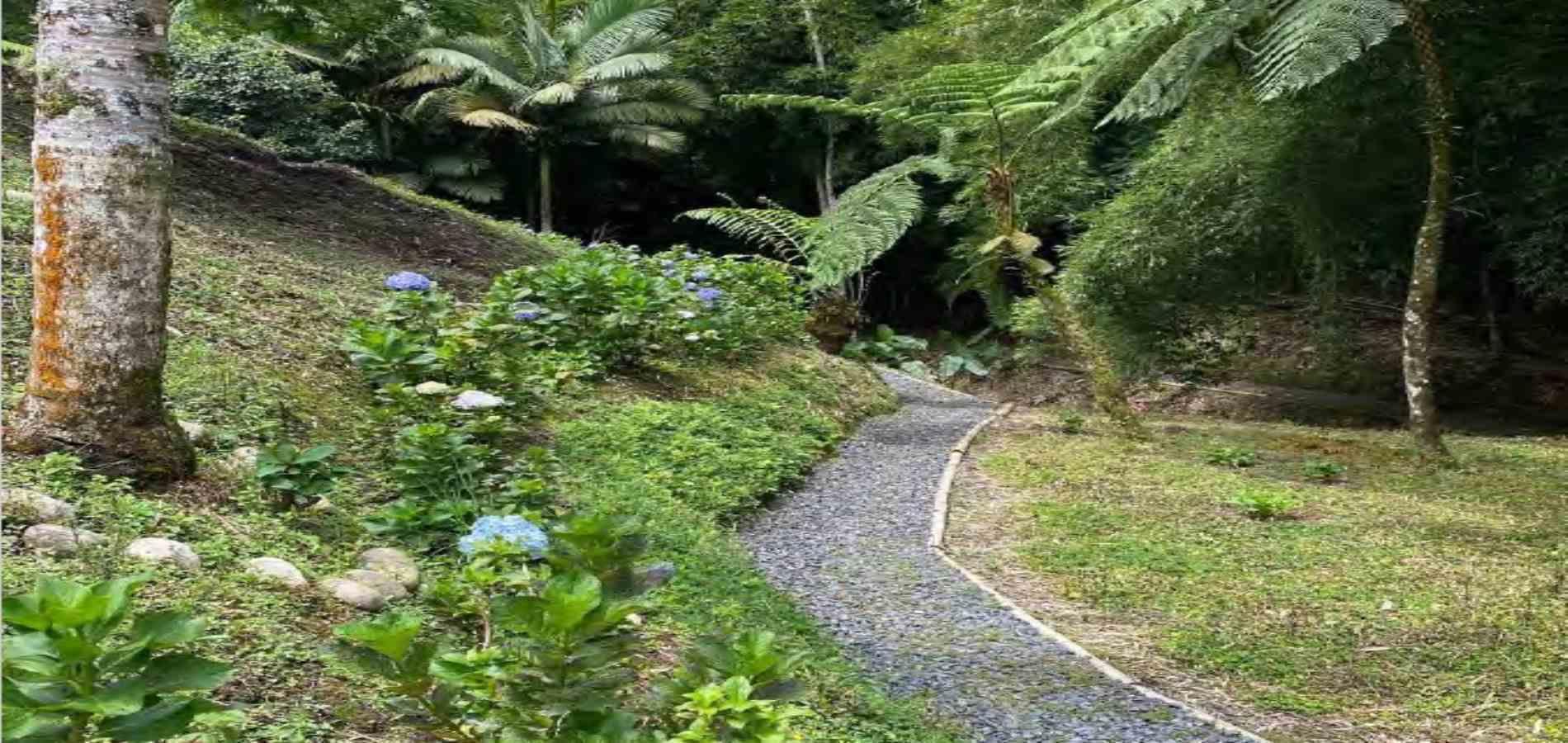 Casa en venta en Tribunas Corcega, Pereira · foto 8 de 24