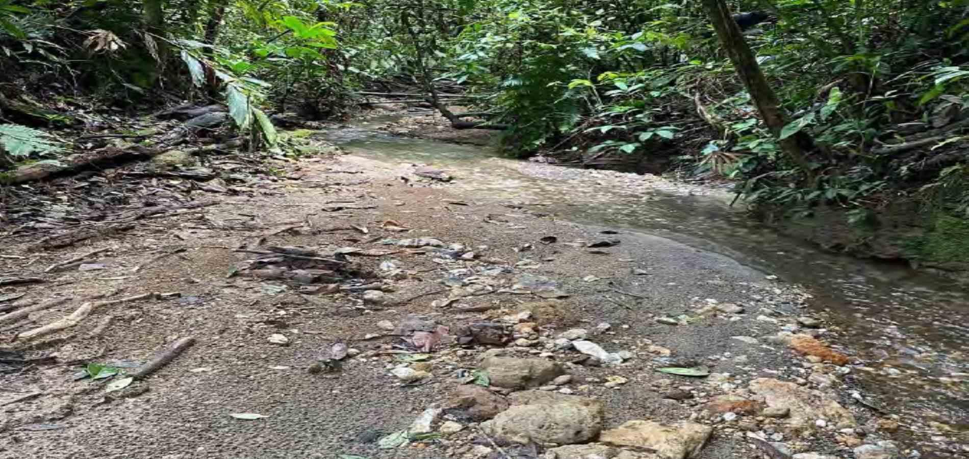 Casa en venta en Tribunas Corcega, Pereira · foto 22 de 24